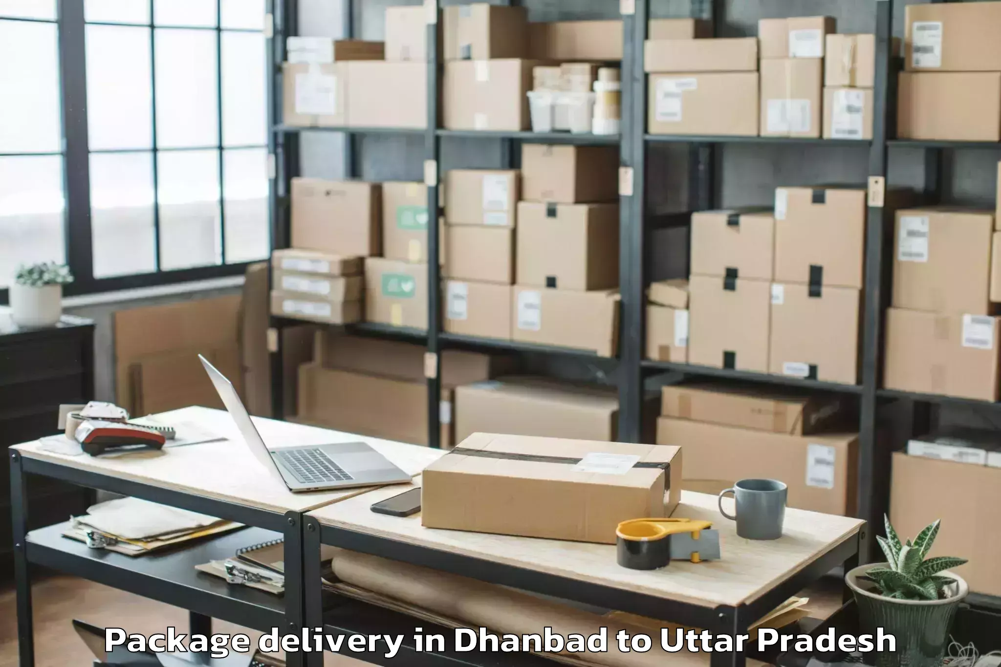 Professional Dhanbad to Madan Mohan Malaviya Universit Package Delivery